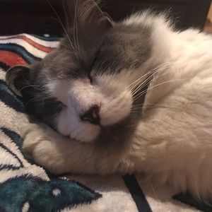 Meet your Posher, Nicole